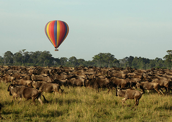 10-days-masai-mara-lake-nakuru-wildlife-safari-mombasa-beach-vacation