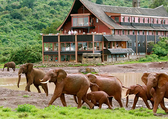 12-days-kenya-wildlife-trails-safari