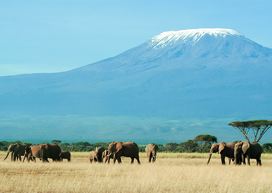 13-days-masai-mara-lake-nakuru-amboseli-lake-manyara-serengeti-ngorongoro-camping-safari