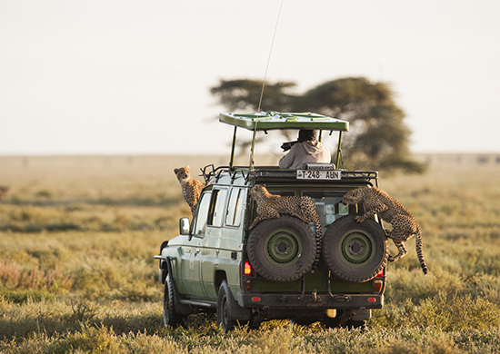 14-days-explore-kenya-tanzania-combined-camping-safari