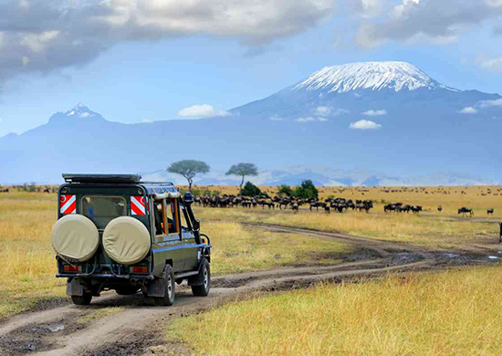 15-days-best-of-kenya-tanzania-game-parks-and-gorillas-camping-safari