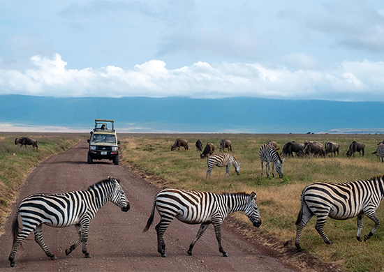 16-days-kenya-tanzania-combined-budget-lodge-safari-zanzibar-beach-vacation