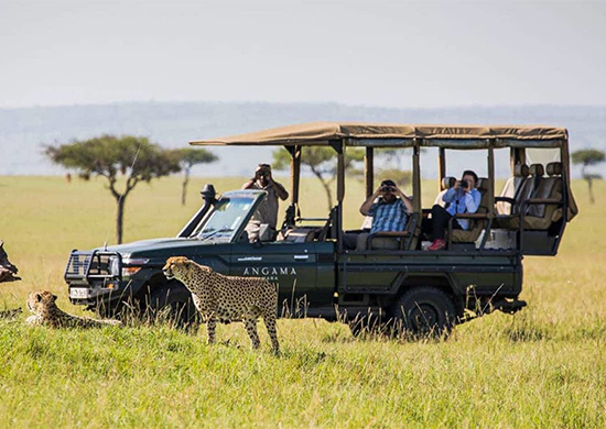 16-days-kenya-tanzania-combined-budget-lodge-safari-zanzibar-beach-vacation