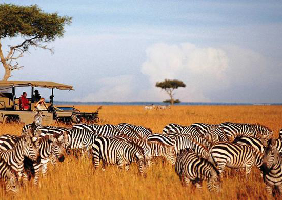 3-days-masai-mara-safaris